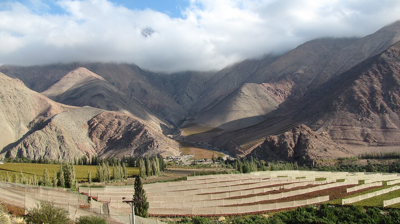Valle del Elqui: Vicuña, pisco i gwiazdy