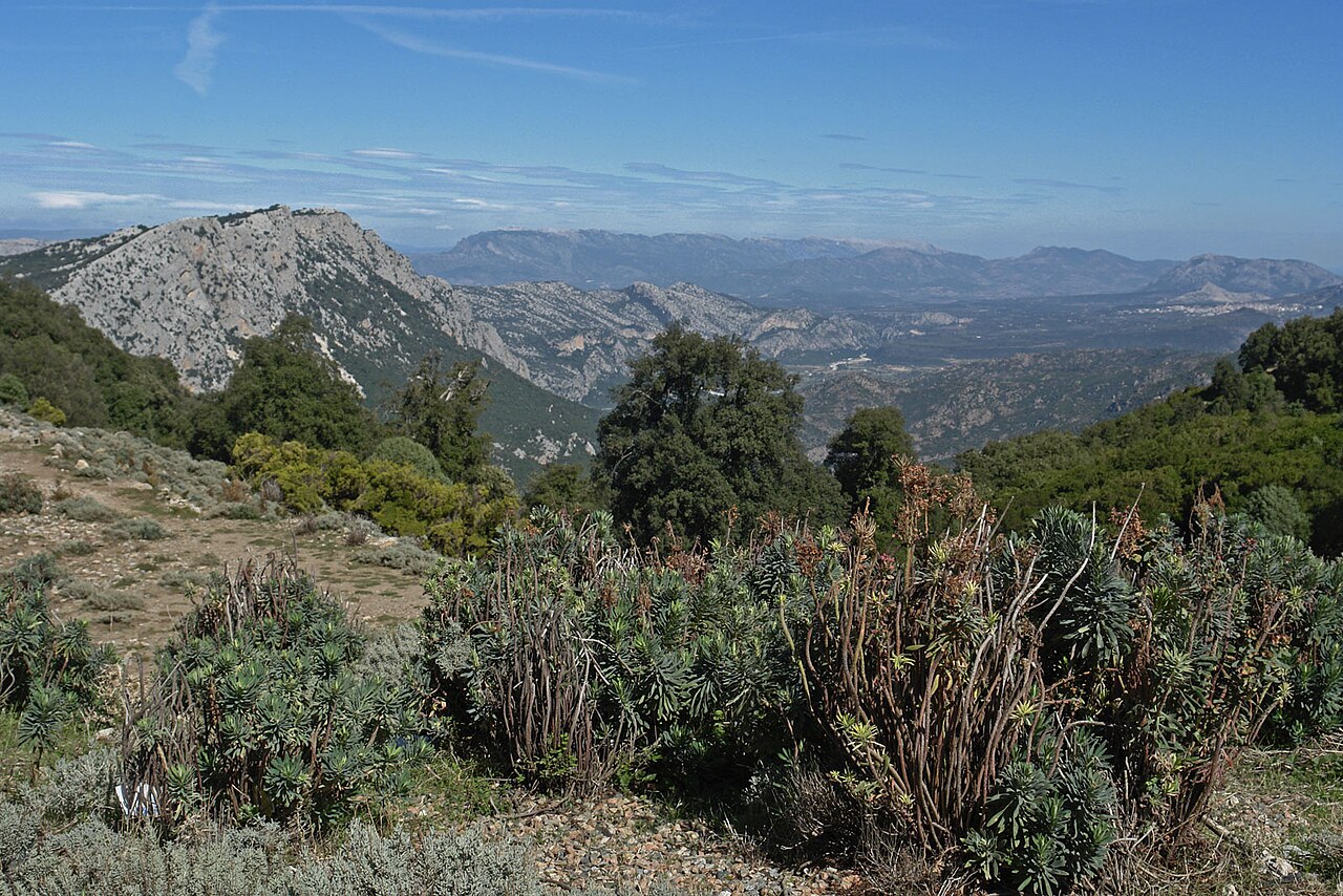 Orientale Sarda: Dorgali – Genna Silana – Baunei (SS125)