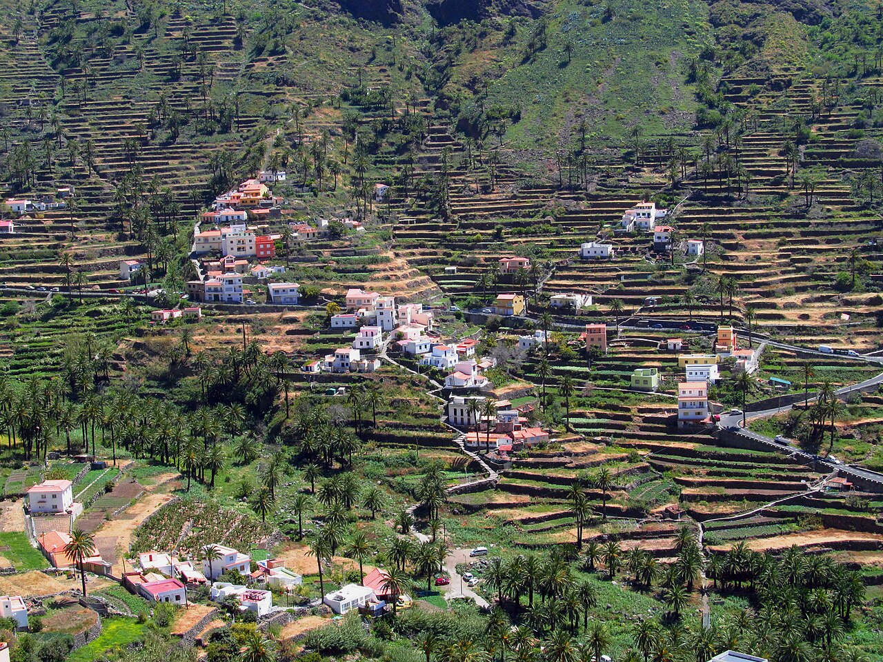 La Gomera: tarasy Valle Gran Rey i las Garajonay